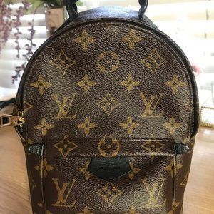 Luois Vuitton Palm Springs Mini Backpack